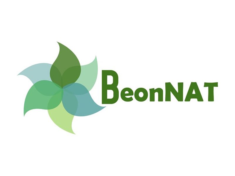 BeonNAT logo