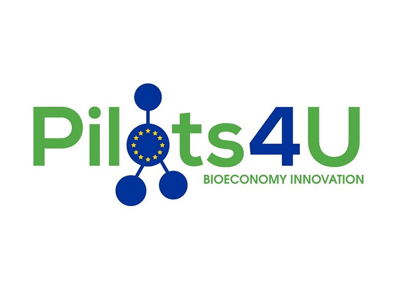 Pilots 4 U logo